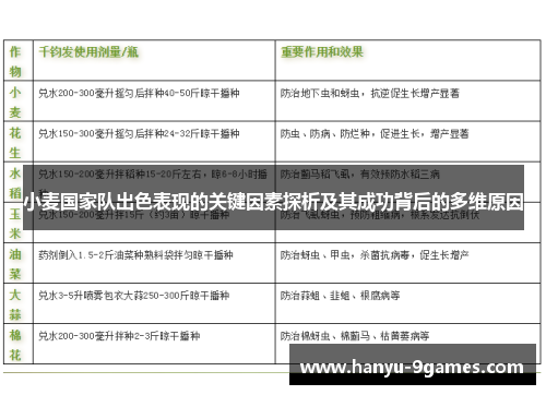 小麦国家队出色表现的关键因素探析及其成功背后的多维原因