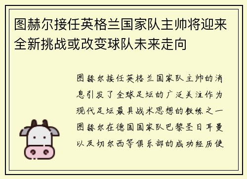 图赫尔接任英格兰国家队主帅将迎来全新挑战或改变球队未来走向